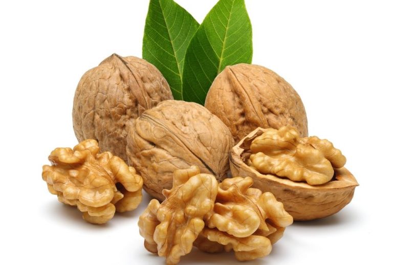 La Noix: composition, bienfaits nutritionnels